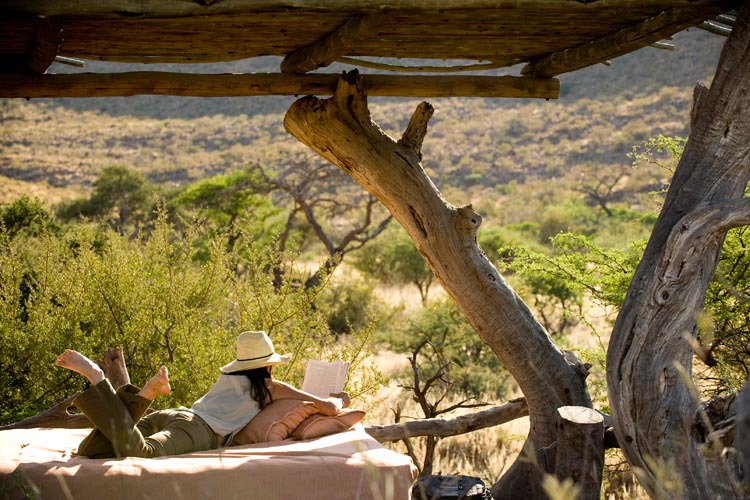 Top 10 Luxury Safari Lodges South Africa - Luxury Safari Company Luxury Safari Lodges with Private Game Drives in Africa